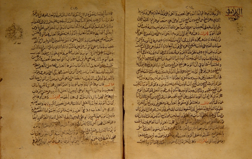 أسباب ظهور وازدهار مدرسة الحلة العلمية