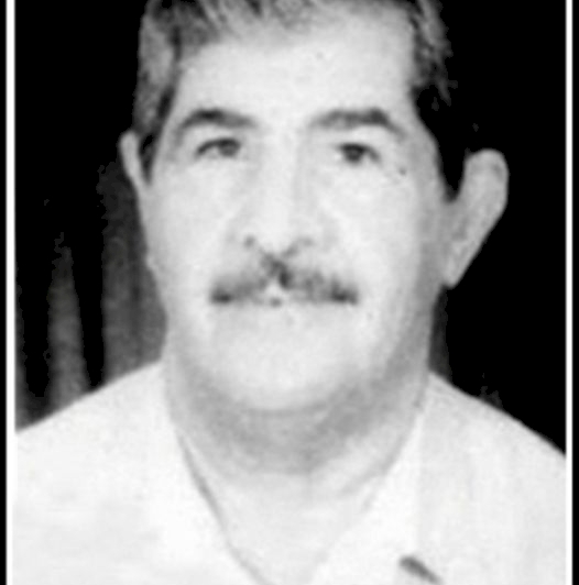 الدكتور هادي الحمداني